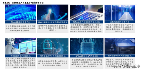 2022年網(wǎng)絡(luò)安全行業(yè)專(zhuān)題研究 數(shù)字經(jīng)濟(jì)時(shí)代下，需求與政策共振推動(dòng)數(shù)據(jù)安全發(fā)展