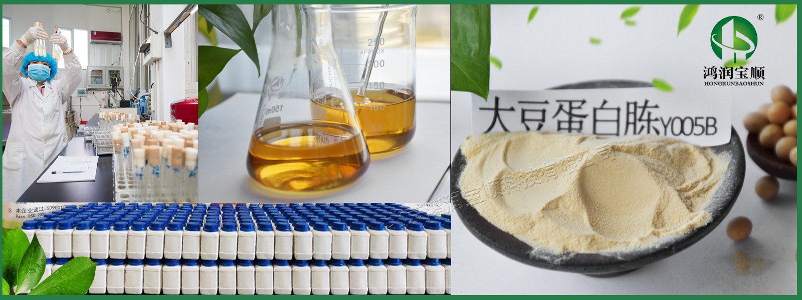鴻潤(rùn)寶順大豆蛋白胨在保健食品中的應(yīng)用與健康價(jià)值