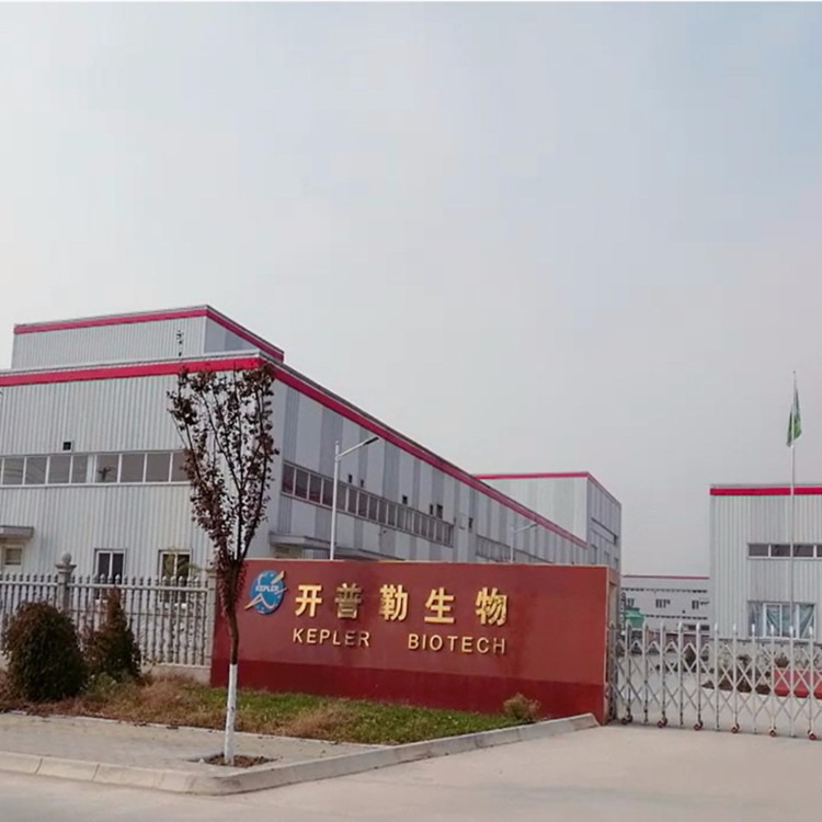 橄欖葉提取物 保健品與化妝品中的天然瑰寶，橄欖苦甙現(xiàn)貨包郵來(lái)襲